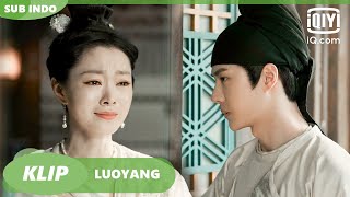 Baili Hongyi tidak tahu bagaimana menghibur Liu [INDO SUB] | LUOYANG Ep.11 | iQiyi Indonesia