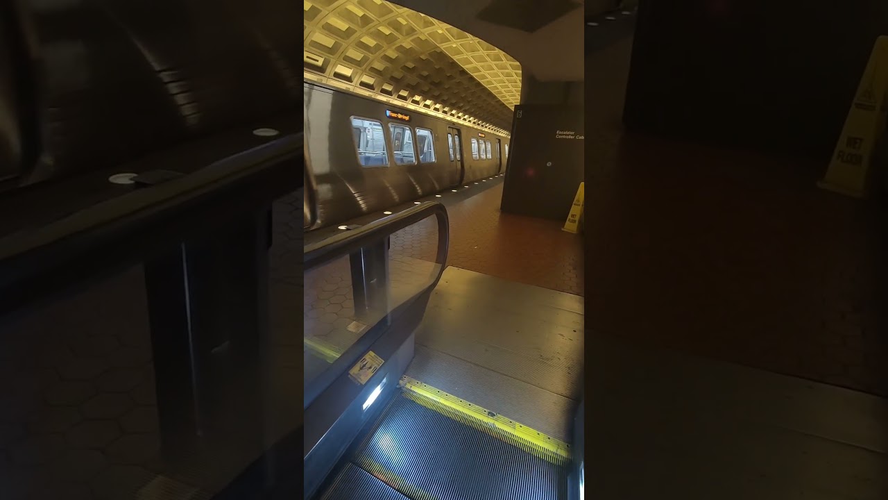 Metro is an urban lifeline 