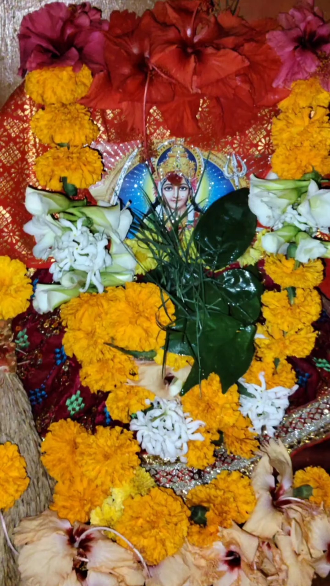 🌻ଶୁକ୍ରବାର ସ୍ପେଶାଲ ଷ୍ଟେଟସ🌻 - ShareChat