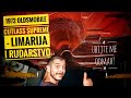 1972 Oldsmobile Cutlass Supreme - Limarija i Rudarstvo 2/3 #restauracija #limarija