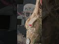 The Red Unit: Unique Combat Simulation Training