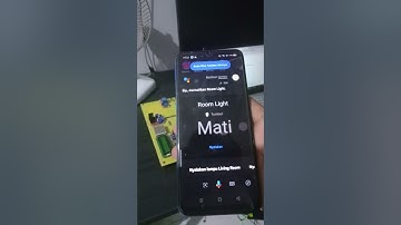 MENYALAKAN LED MENGGUNAKAN BLYNK/GOOGLE ASSISTANT/WA