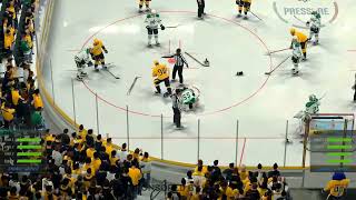 NHL 25 Fighting #eapartner