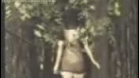 Fatal Frame 2 Chou AMV