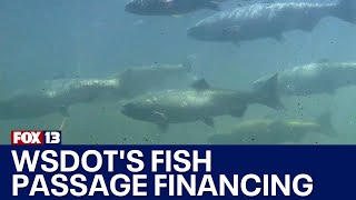 Breaking down WSDOT's fish passage financing | FOX 13 Seattle