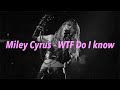 Miley Cyrus - WTF Do I Know 中文歌詞 翻譯 (Lyrics)