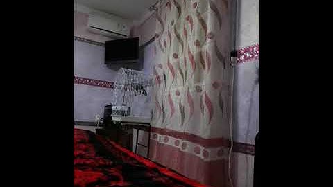 كاسكو يقرأ سورة الإخلاص بسم الله مشاء الله