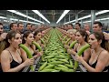 Banana Stem to Fiber | Inside a Modern Industrial Factory