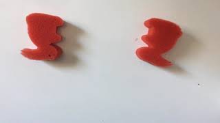 Foam bunny trick
