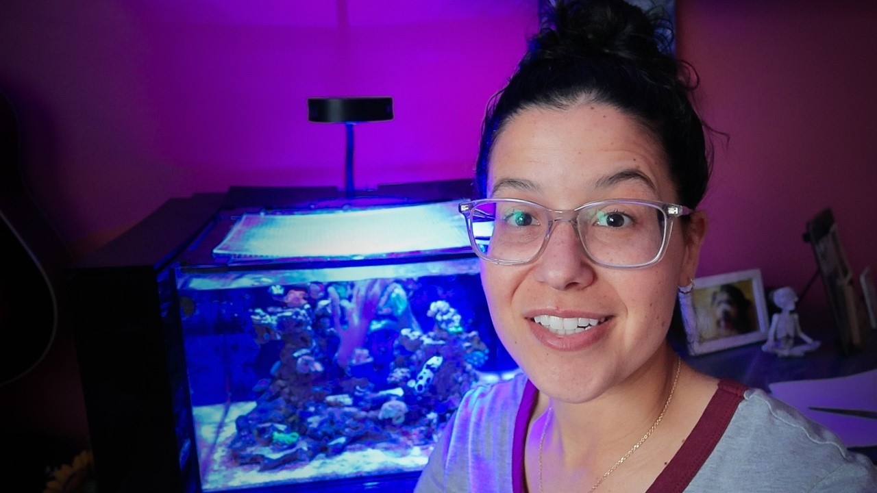 Installing The Reef Tank Upgrade I Put Off For Years - YouTube