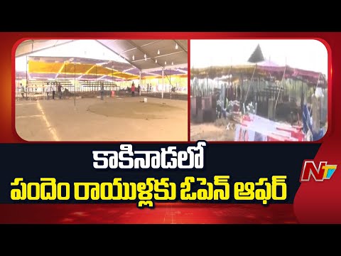 Kakinada: కాకినాడలో పందెం రాయుళ్లకు బిగ్ ఆఫర్ | Special Report | NTV Telugu - NTVTELUGU