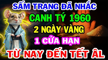 [CẢNH BÁO] 2 Ngày Vàng và 1 Cửa Hạn Kinh Hoàng Của Canh Tý 1960 Từ Nay Đến Tết ÂL 2026