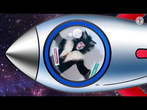 «День космонавтики» – познавательно-развлекательная программа из цикла «В гостях у Бабы-яги»