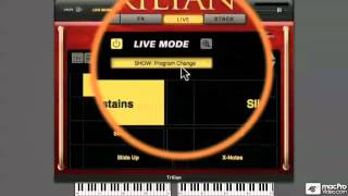 Trilian 101: Core Trilian - 05. Live Mode Keyswitching