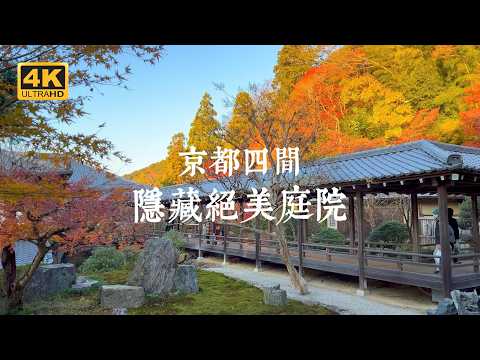 【Kyoto Solo Trip】Often Overlooked Beauty! Exploring Four Stunning Hidden Gardens in Kyoto Temples