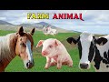 Fatos e Curiosidades Sobre Animais da Fazenda - Som dos Animais - Farm Animal