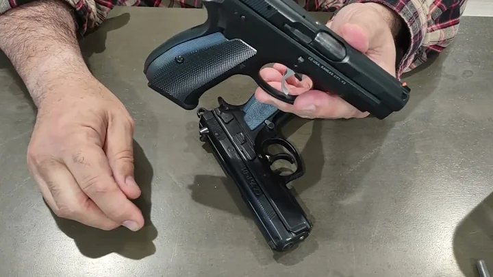 CZ P-01 vs CZ 75D Compact PCR