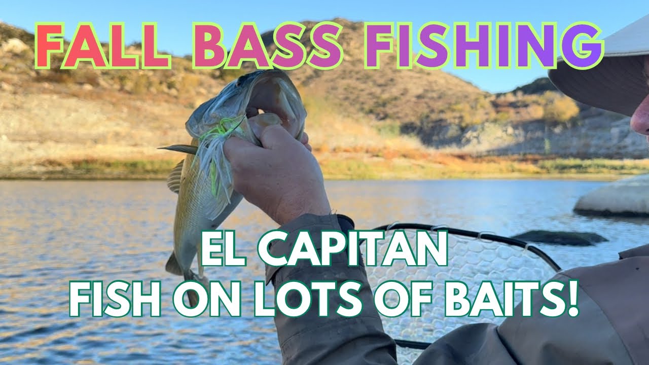 Fall Bass Fishing El Capitan Reservoir: Fish On LOTS Of Different Baits!