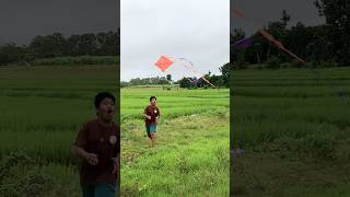 FUNNY SARANGGOLA SA FARM, GENZIE SUMMER KITE FLYING #kites #young #genzi #saranggola #summerfunny #i