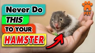 10 Common Mistakes New Hamster Owners Make