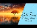 New Piano Music 2019 - Piano Moment #5 - Mystical Piano Music Improvisation