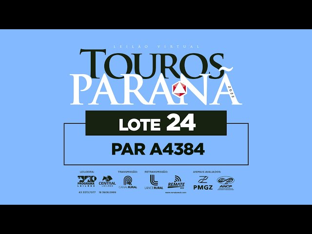 LOTE 24 PAR A4384