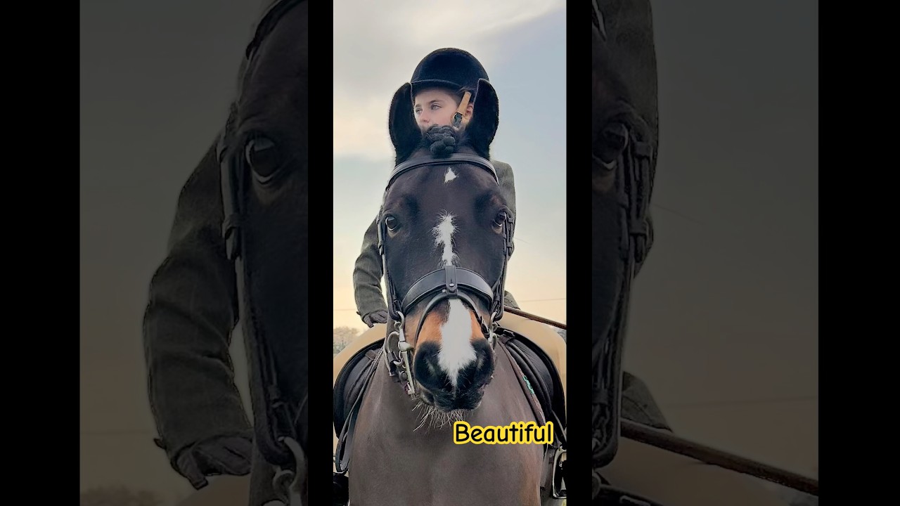 GET READY WITH ME & AMOS for showing 😍 