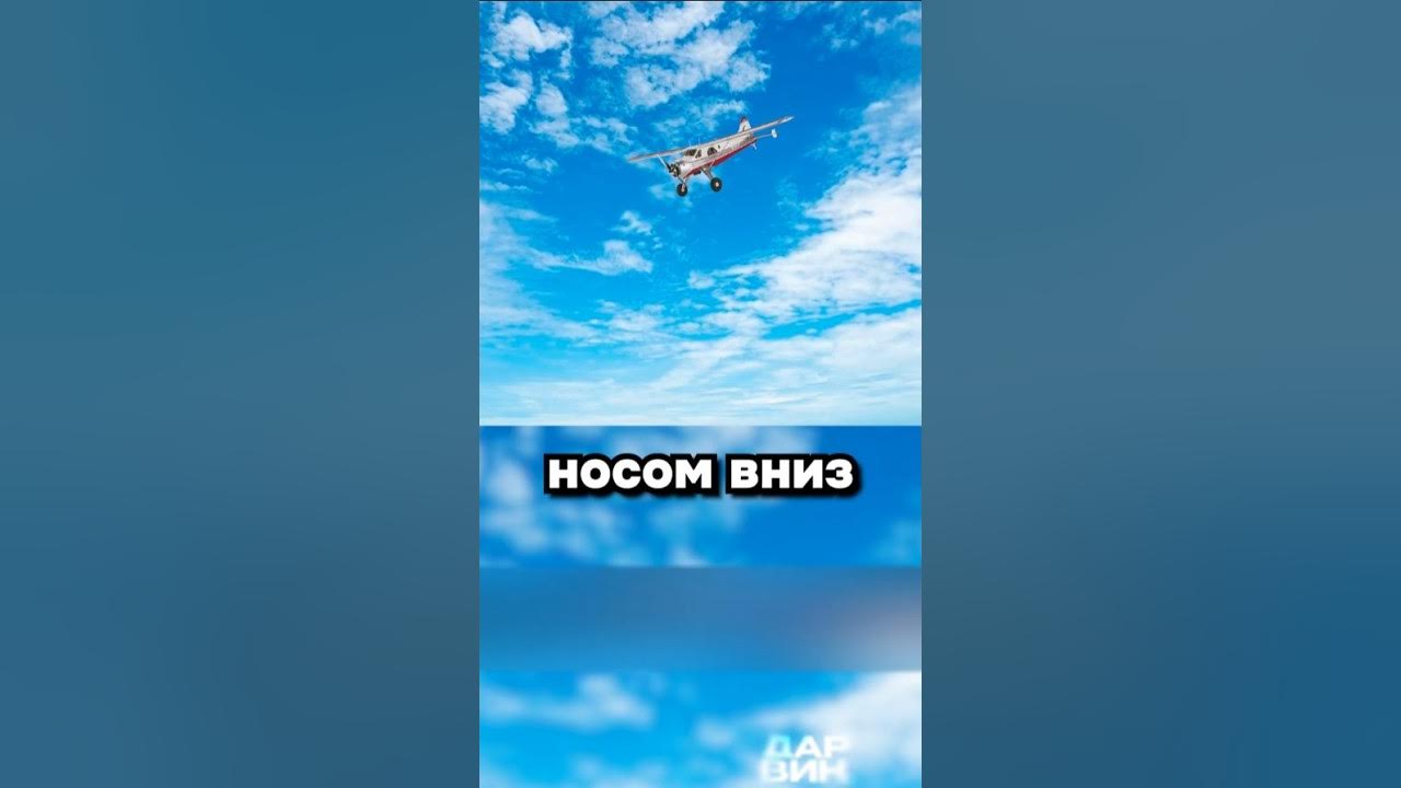 Сложный выбор - YouTube