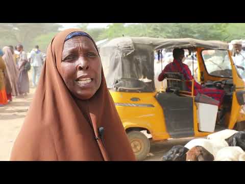 SUQA XOLAHA EE XERADA DHAGAHLEY IIBKA LODAY IYO QIMAHA SUQA CAQABADAHA IYO CABASHADA GANACSATADA