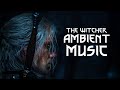 Gambar cover The Witcher Netflix | 1 Hour | Calm/Emotional | Tavern Ambience
