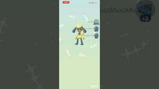 I hatched 2 shiny Riolu from a batch of eggs