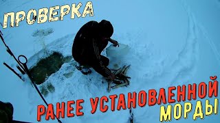 ПРОВЕРКА ЛОВУШЕК НА РЫБУ(МОРДЫ,ВЕРШИ)/CHECKING TRAPS FOR FISH (Muzzles, Tops)