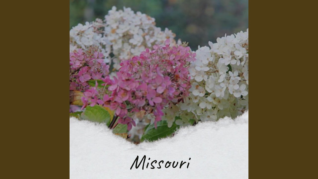 Candy Kisses YouTube Music