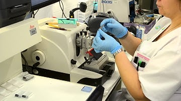 AIDPATH - HISTOLOGICAL TISSUE SAMPLE PREPARATION