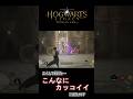 エイムで戦うと映画みたいになる殺陣ホグワーツ : 杖十次会 【ホグワーツレガシー】 #shorts #殺陣ホグワーツ