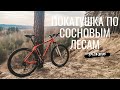 Велопокатушка Балаклея - Змиев по сосновым лесам