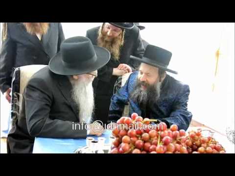 Bobov 45 Rebbe Has A Torah Discussion R Malkiel Kotler In Lakewood Tammuz 5773 