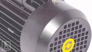 Paragon Pump Asia Pte. Ltd.