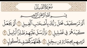 سورة الفيل للشيخ المقرئ عبدالقادر العثمان ..