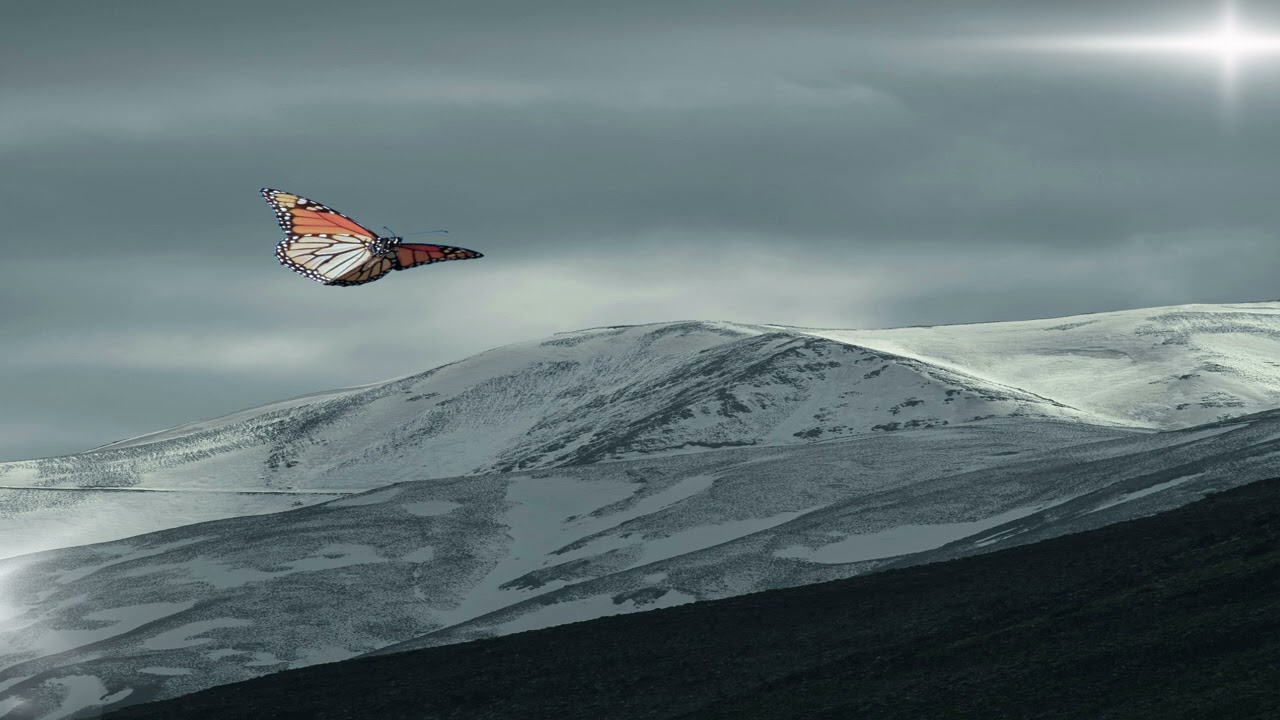 Watch Playboi Carti x Adrian Type Beat " STUCK " •《prod. Vita x Purplexed》 on YouTube Watch Playboi Carti x Adrian Type Beat " STUCK " •《prod. Vita x Purplexed》 on YouTube
