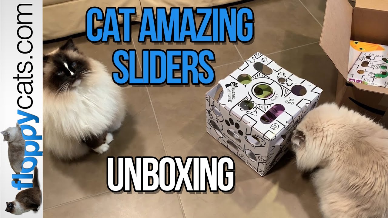 Interactive Cat Puzzle: Cat Amazing Sliders Unboxing