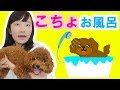 ★こちょのお風呂　初公開！キレイになったよ♪★