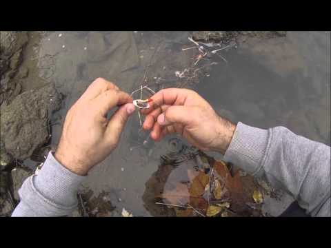 შემოდგომის ქაშაპი და კალმახი...