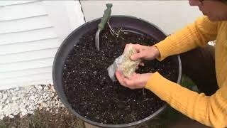 2 the Garden: Make Your Own Kitchen Garden
