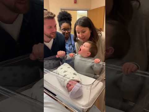 😂 This Went From Normal to Chaos #funny #viral #shorts #lol