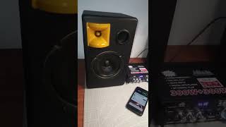 Best Class D Bluetooth Karaoke Amplifier 120W Under 30