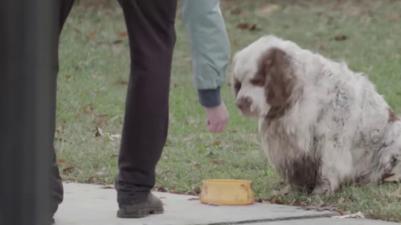 The Truth About The Humane Society of the United States