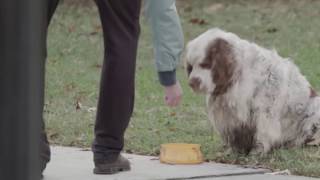 The Truth About The Humane Society Of The United States