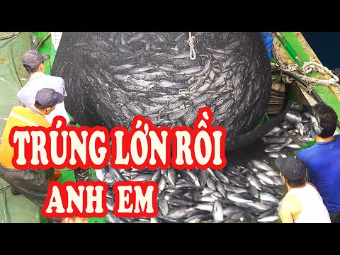 Video Đêm Nay Trúng Quả Lớn Bịch CÁ NGỪ Siêu To / Đánh bắt... - youtube