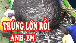 Đêm Nay Trúng Quả Lớn Bịch CÁ NGỪ Siêu To / Đánh bắt hải sản biển P212